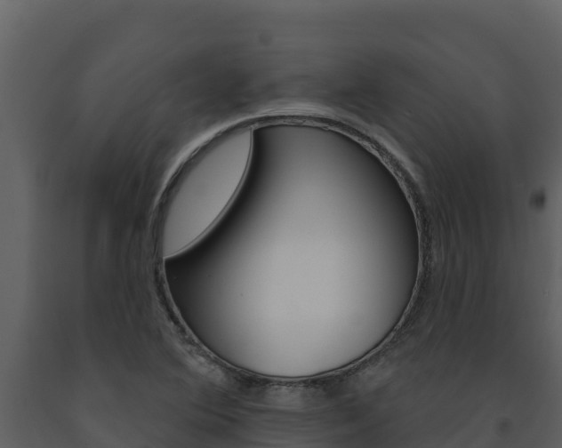 X0000091721364200708241010