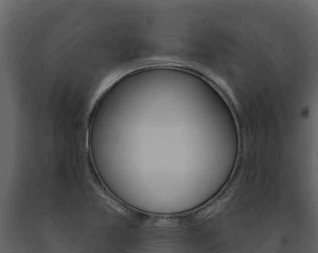 X0000091721365200708241009