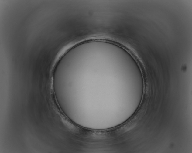 X0000091721366200708241009