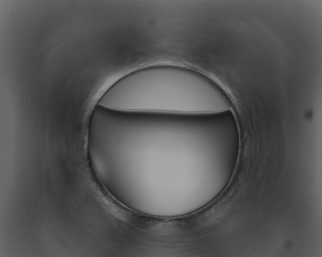 X0000091721367200708241009