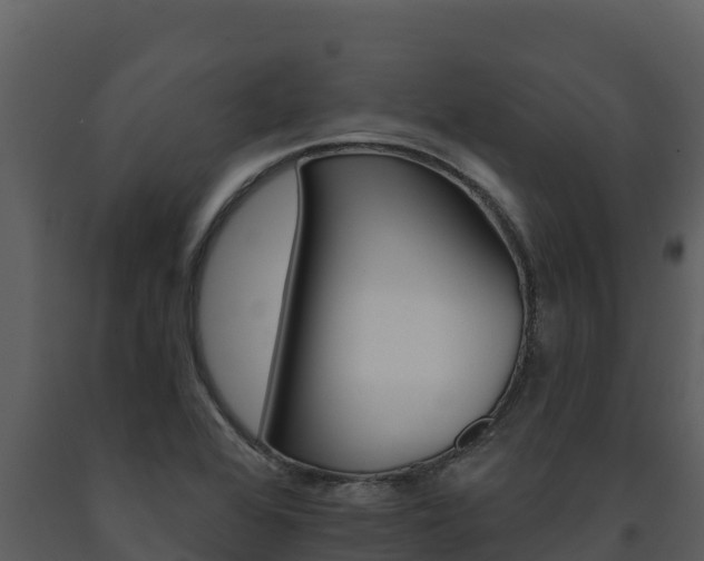 X0000091721368200708241009