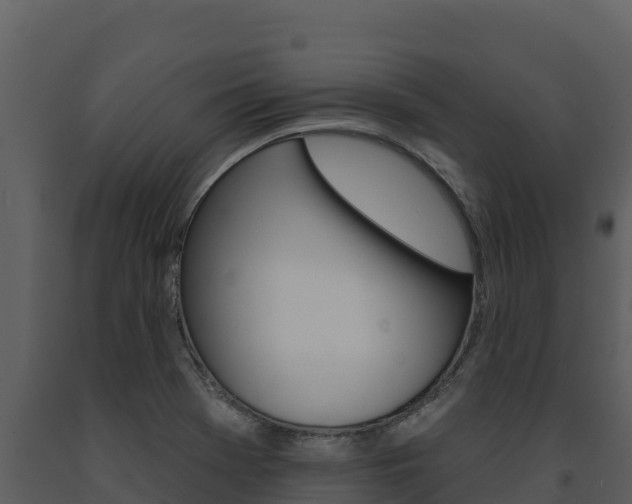 X0000091721369200708241009