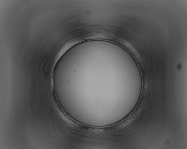 X0000091721370200708241009