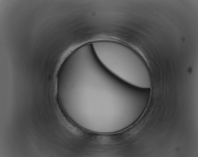X0000091721371200708241009