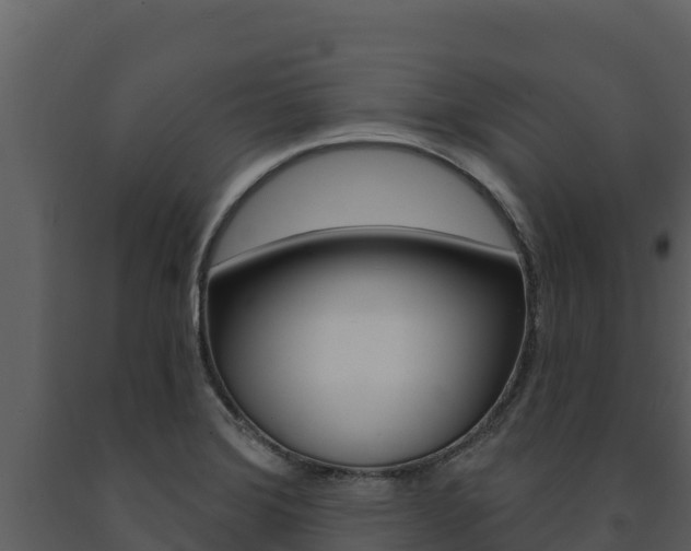 X0000091721372200708241009