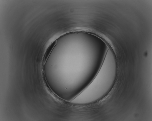 X0000091721373200708241009