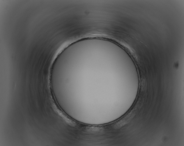 X0000091721374200708241009