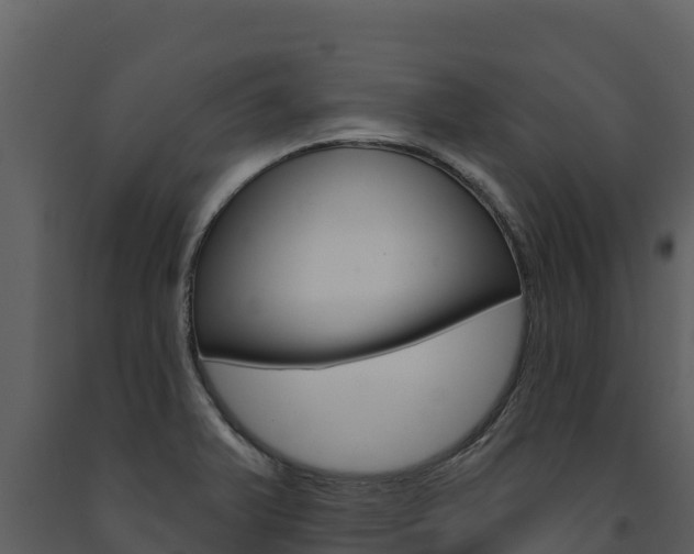 X0000091721375200708241009