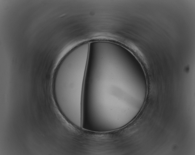 X0000091721376200708241009