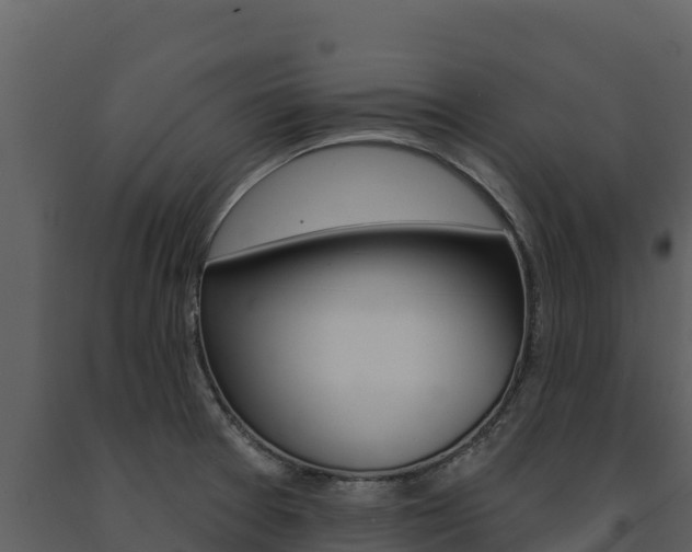 X0000091721377200708241009