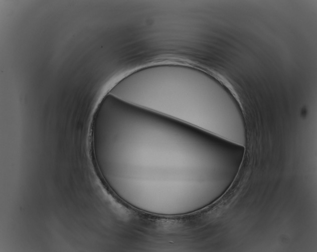 X0000091721379200708241009