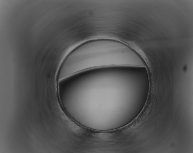 X0000091721380200708241009