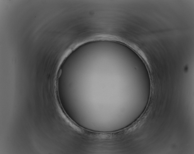 X0000091721381200708241009