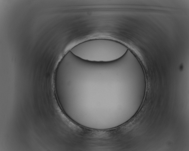 X0000091721382200708241009