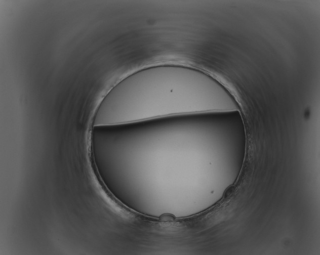 X0000091721383200708241009