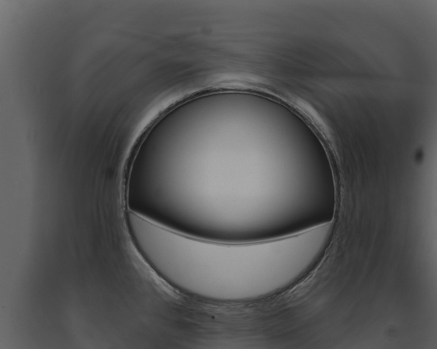 X0000091721384200708241009