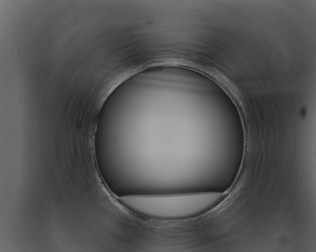 X0000091721385200708241009