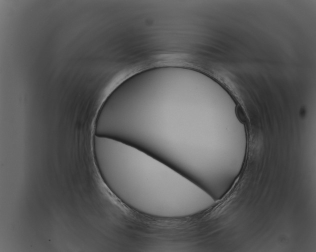 X0000091721386200708241009