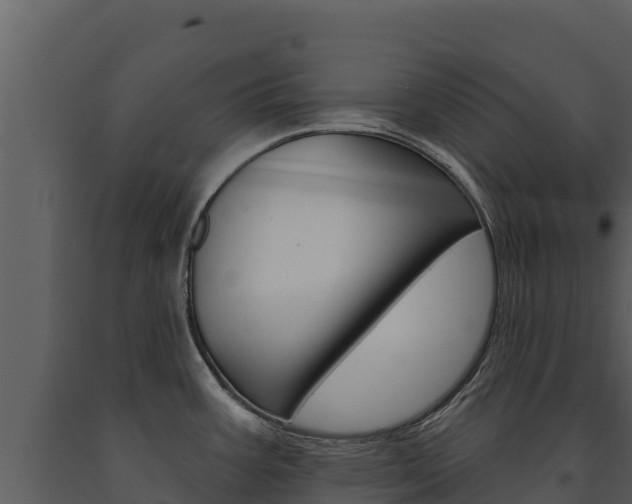 X0000091721387200708241009