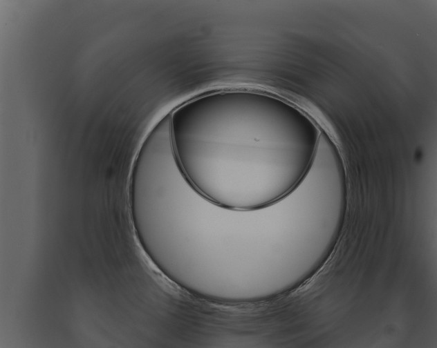 X0000091721388200708241009