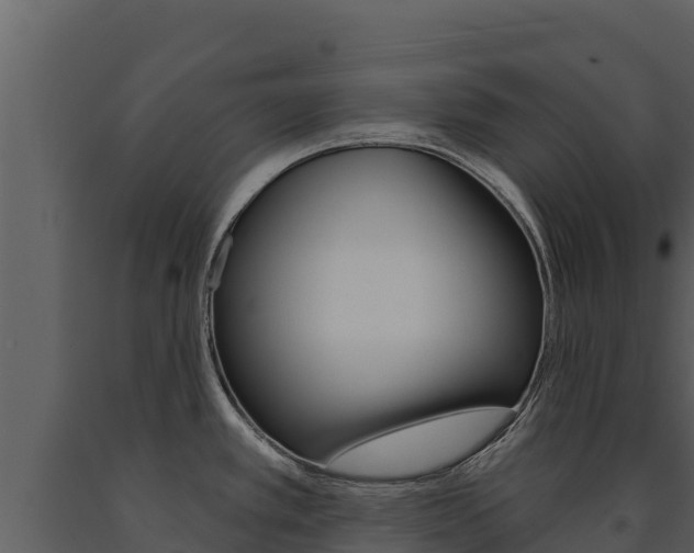 X0000091721389200708241009