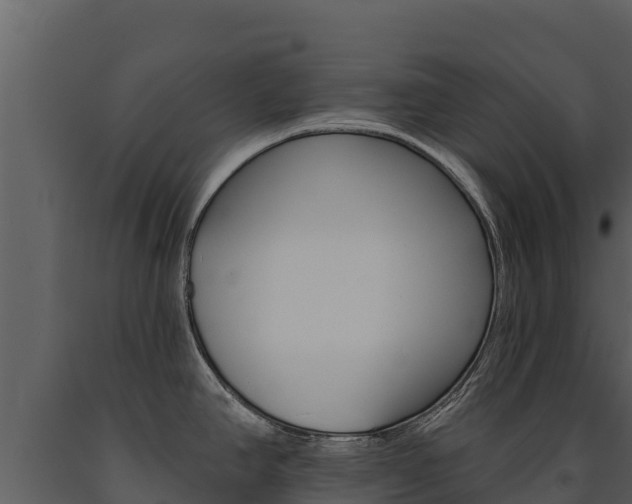 X0000091721390200708241009