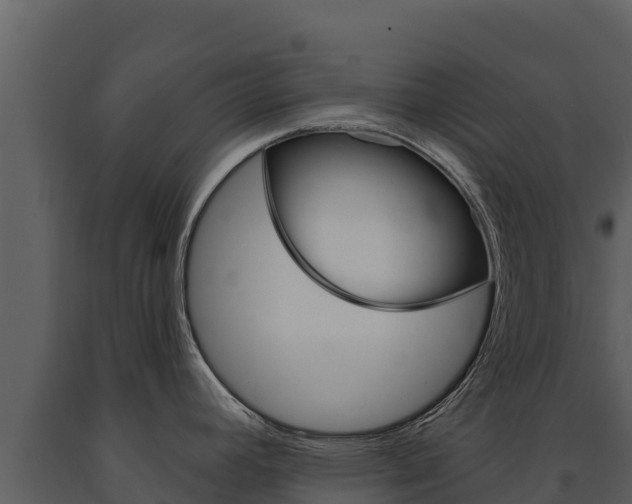 X0000091721392200708241009