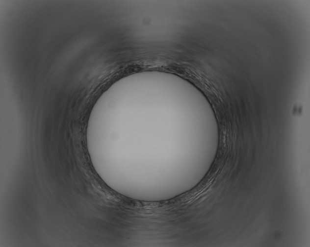 X0000091721393200708241008