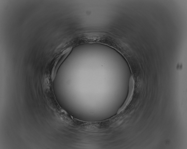 X0000091721394200708241008