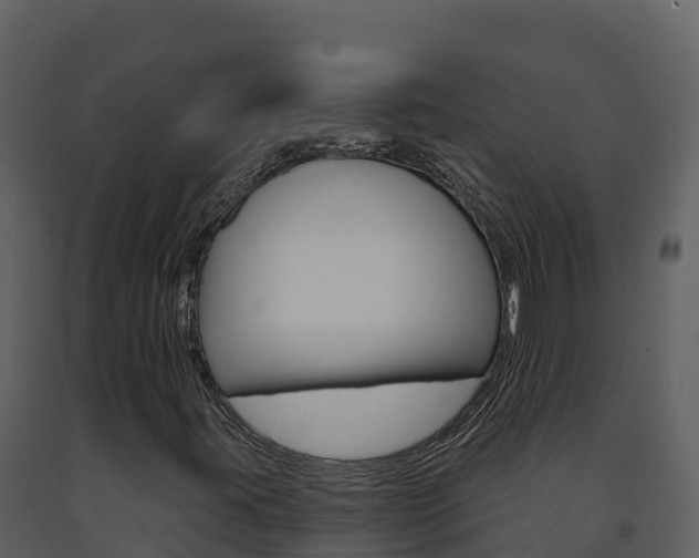 X0000091721395200708241008