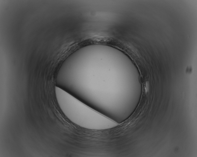 X0000091721396200708241008