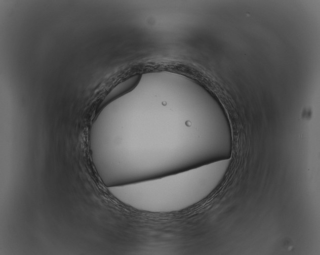X0000091721397200708241008