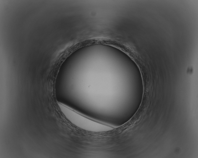 X0000091721398200708241008