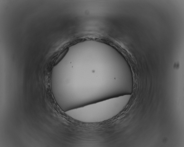 X0000091721399200708241008