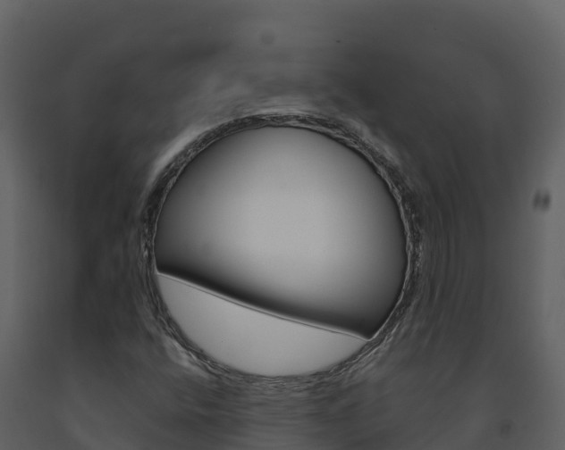X0000091721400200708241008