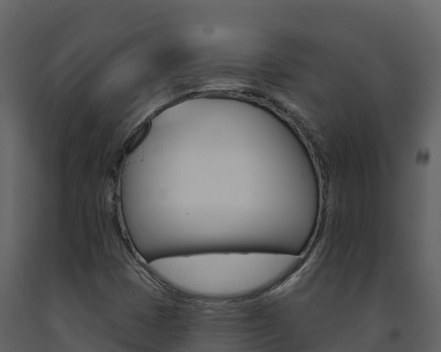X0000091721401200708241008