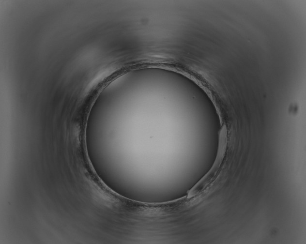 X0000091721402200708241008