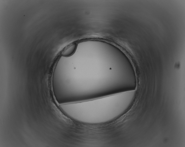 X0000091721404200708241008