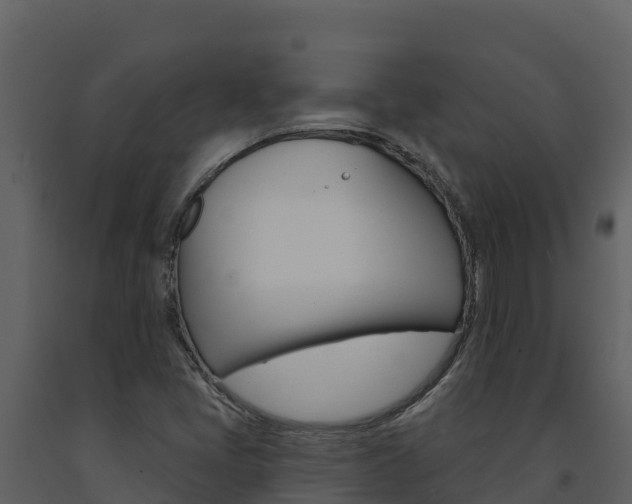X0000091721405200708241008