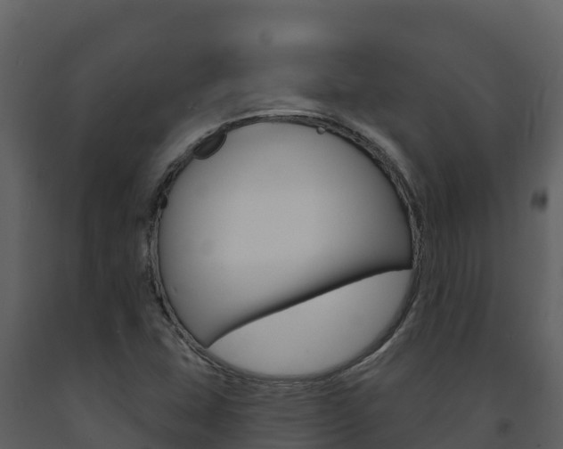 X0000091721407200708241008