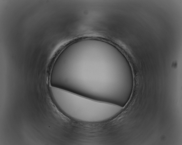X0000091721408200708241009