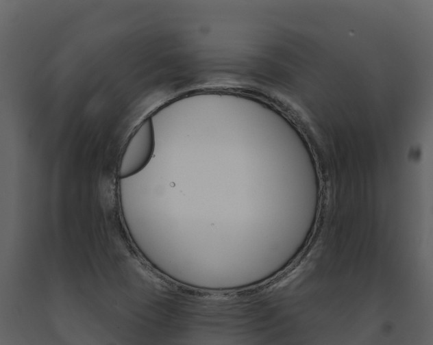 X0000091721409200708241009