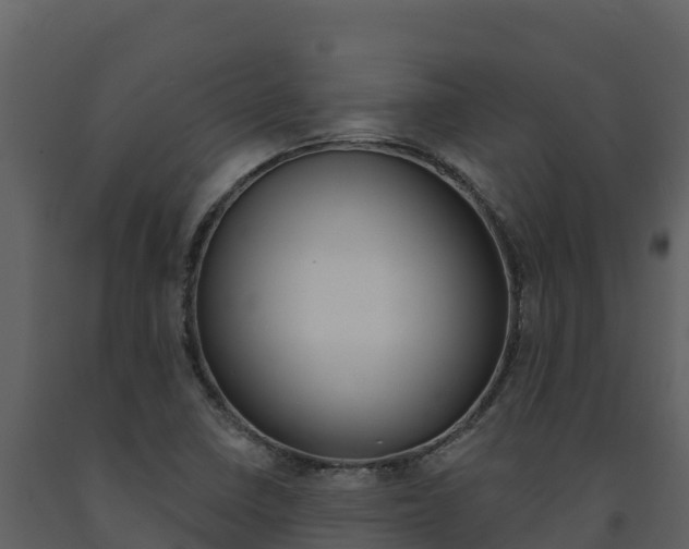 X0000091721410200708241009