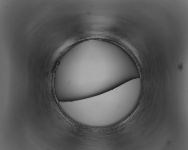 X0000091721411200708241009