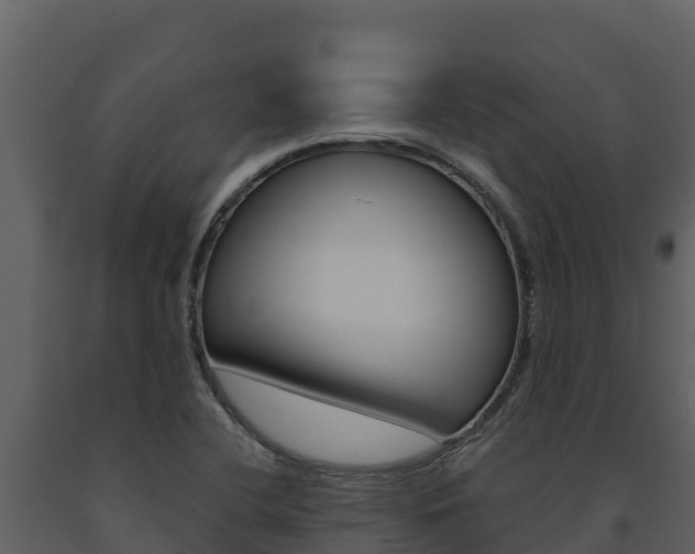 X0000091721412200708241009