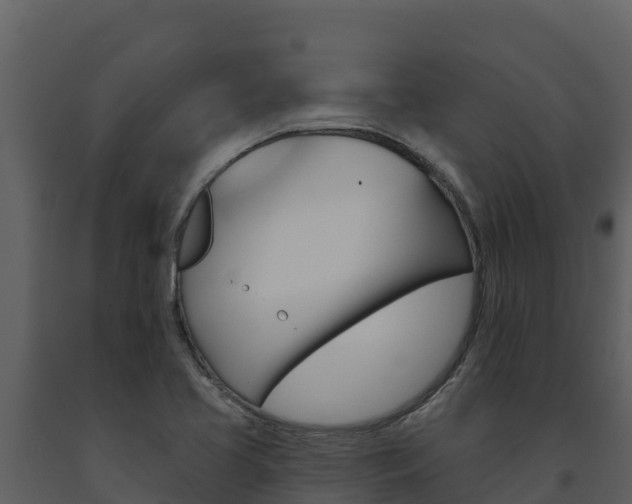 X0000091721413200708241009