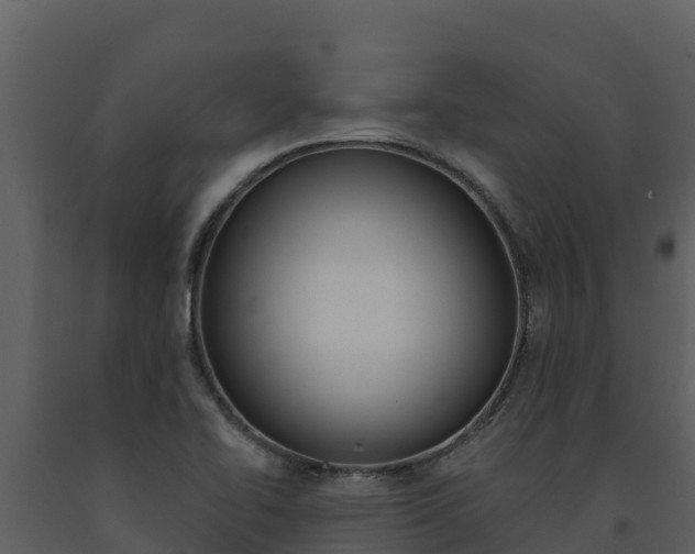X0000091721414200708241009