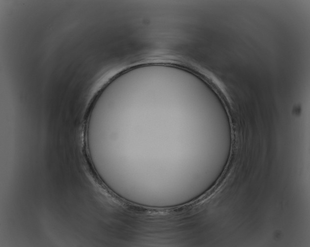 X0000091721415200708241009