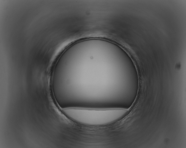 X0000091721416200708241009