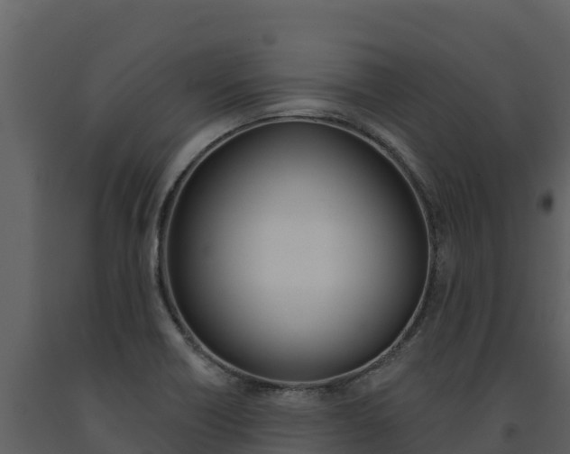 X0000091721418200708241009
